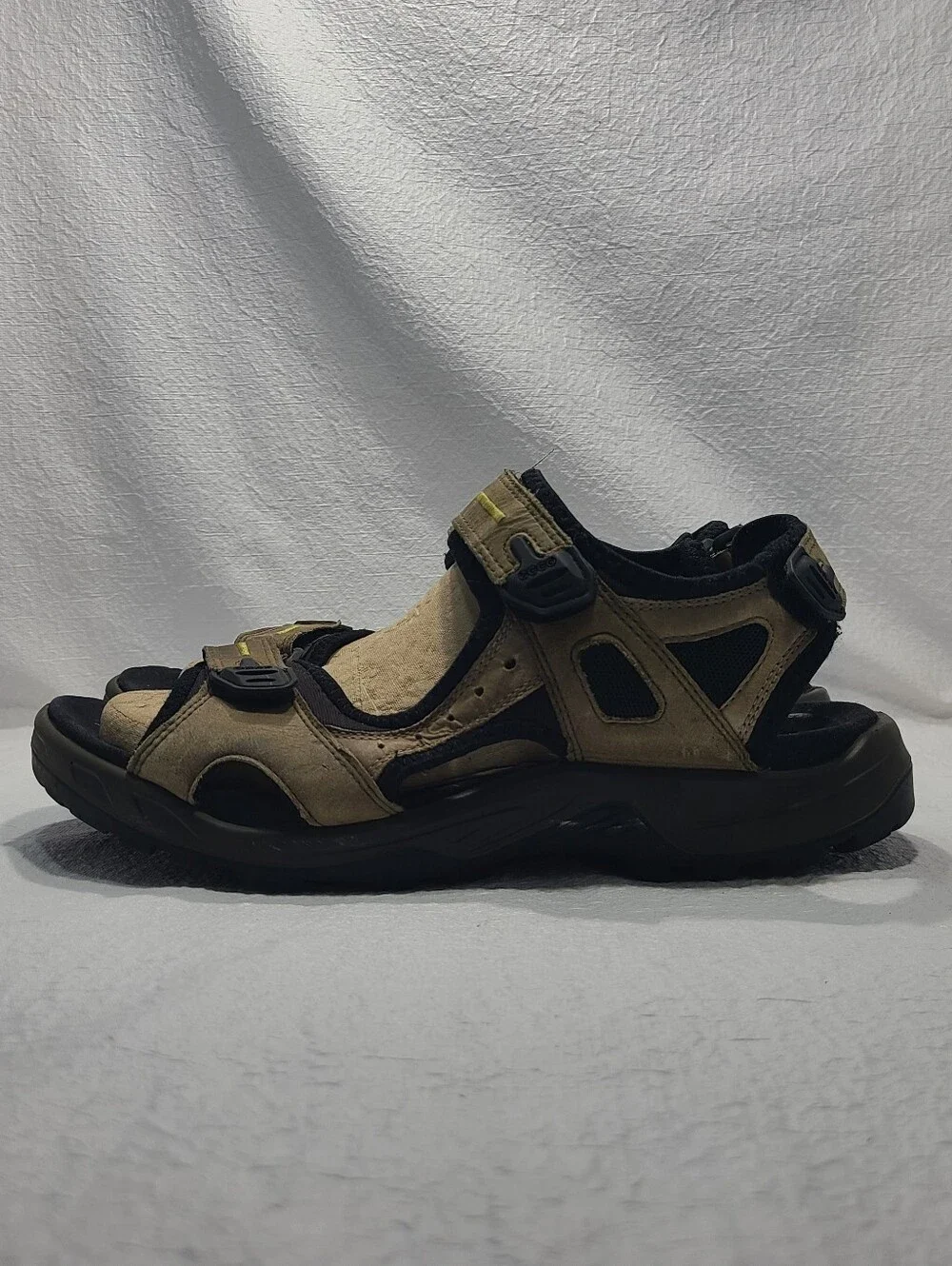 Ecco mens yucatan